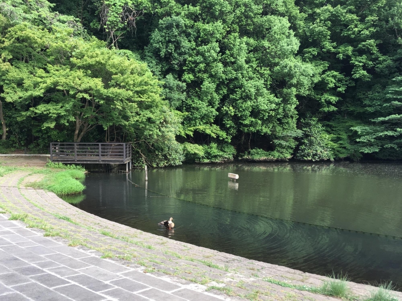 アークガーデンひびきの街四番館 公園