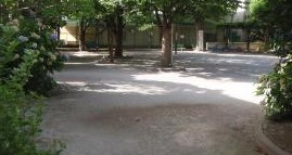 セザール田園調布本町 公園