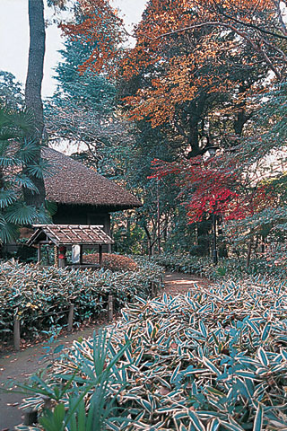 Ｄグラフォート世田谷芦花公園 公園