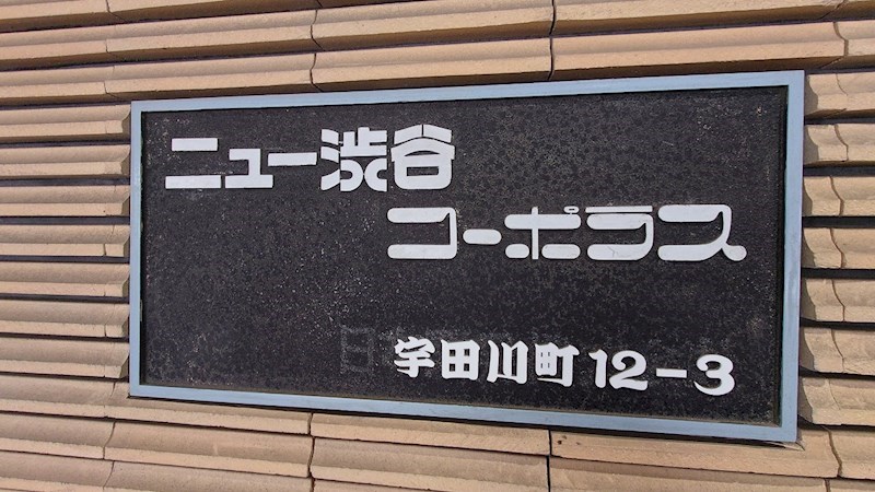ニュー渋谷コーポラス 共用部写真（その他）
