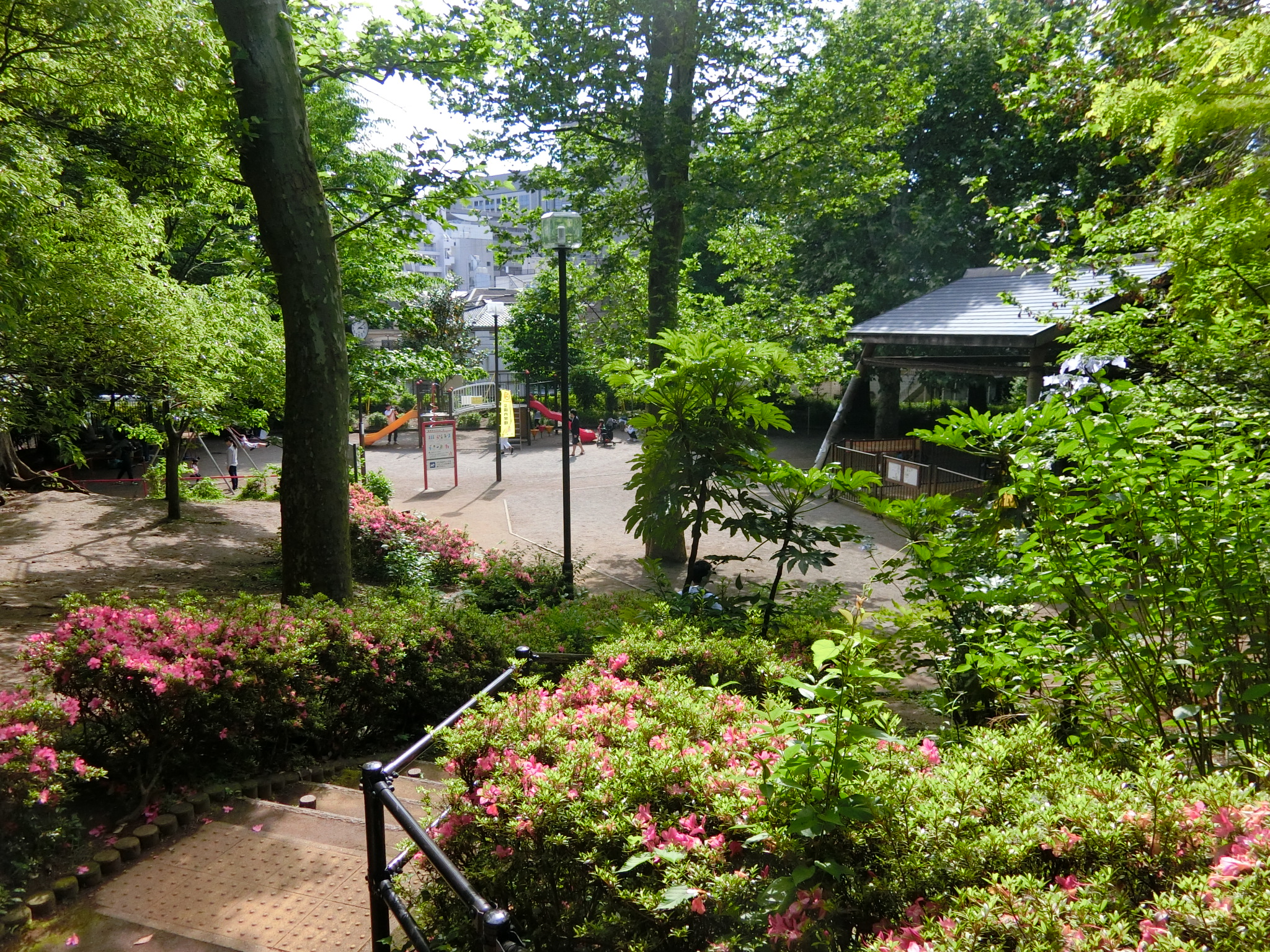シティコート広尾 公園
