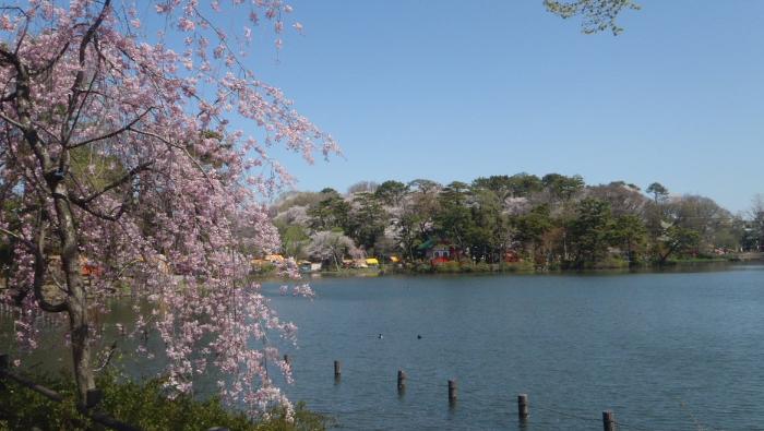大岡山コーポラス 公園