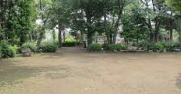 グランタワー調布国領　ル・パサージュ 公園