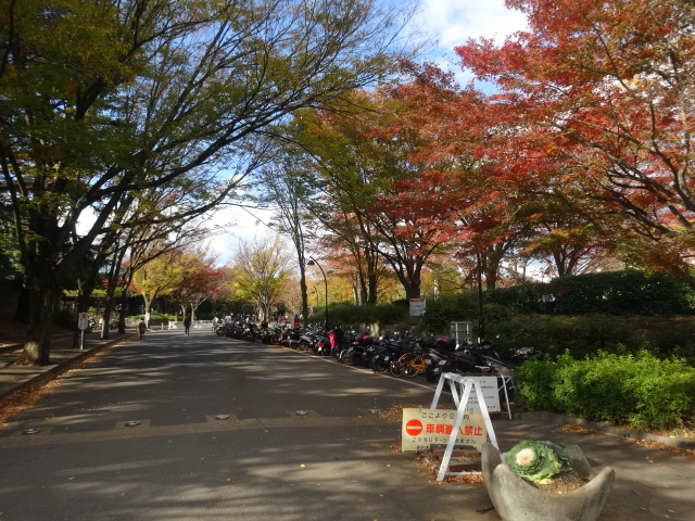 パークホームズ駒沢二丁目 公園