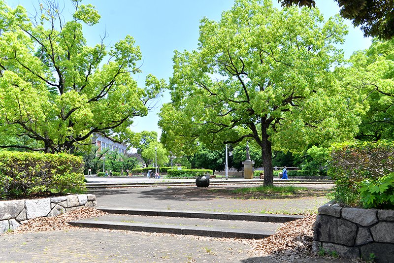 シティタワー武蔵小杉 公園