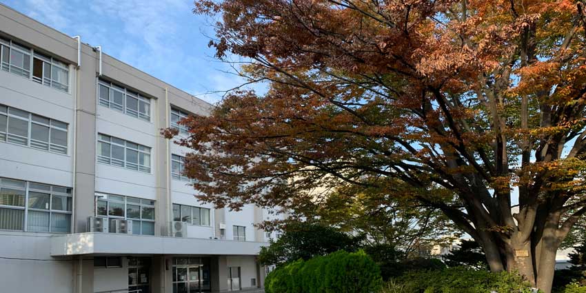 シティタワー武蔵小杉 小学校