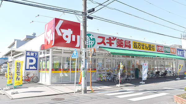 ニックハイム武蔵小杉 ドラッグストア