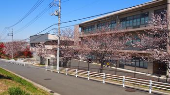 ユーロハイツ仲町台 中学校