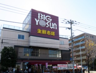 サングレイスガーデン綱島 スーパー