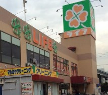 アデニウム川崎桜川公園 スーパー