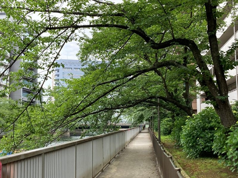 プラタスステージ門前仲町 現地写真（その他）
