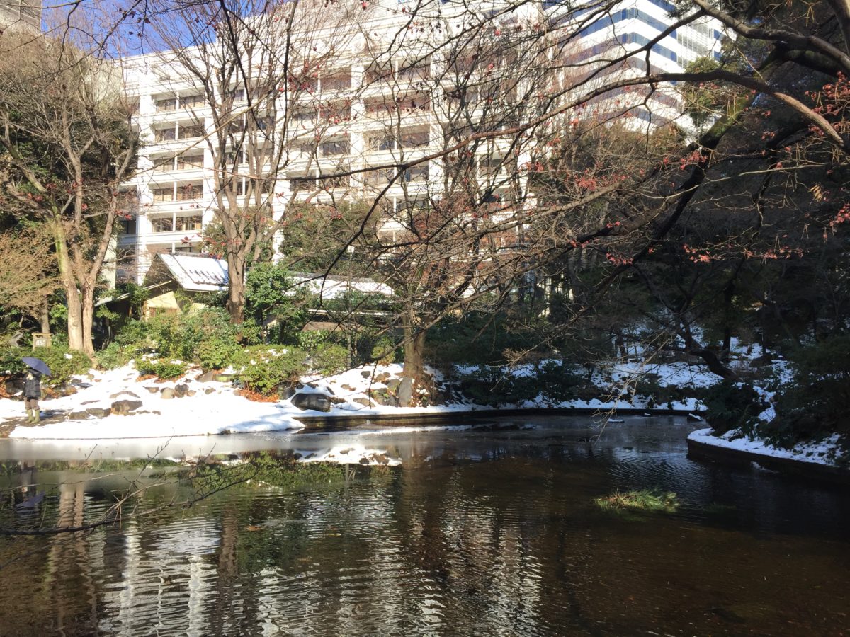 グランドメゾン元赤坂 公園