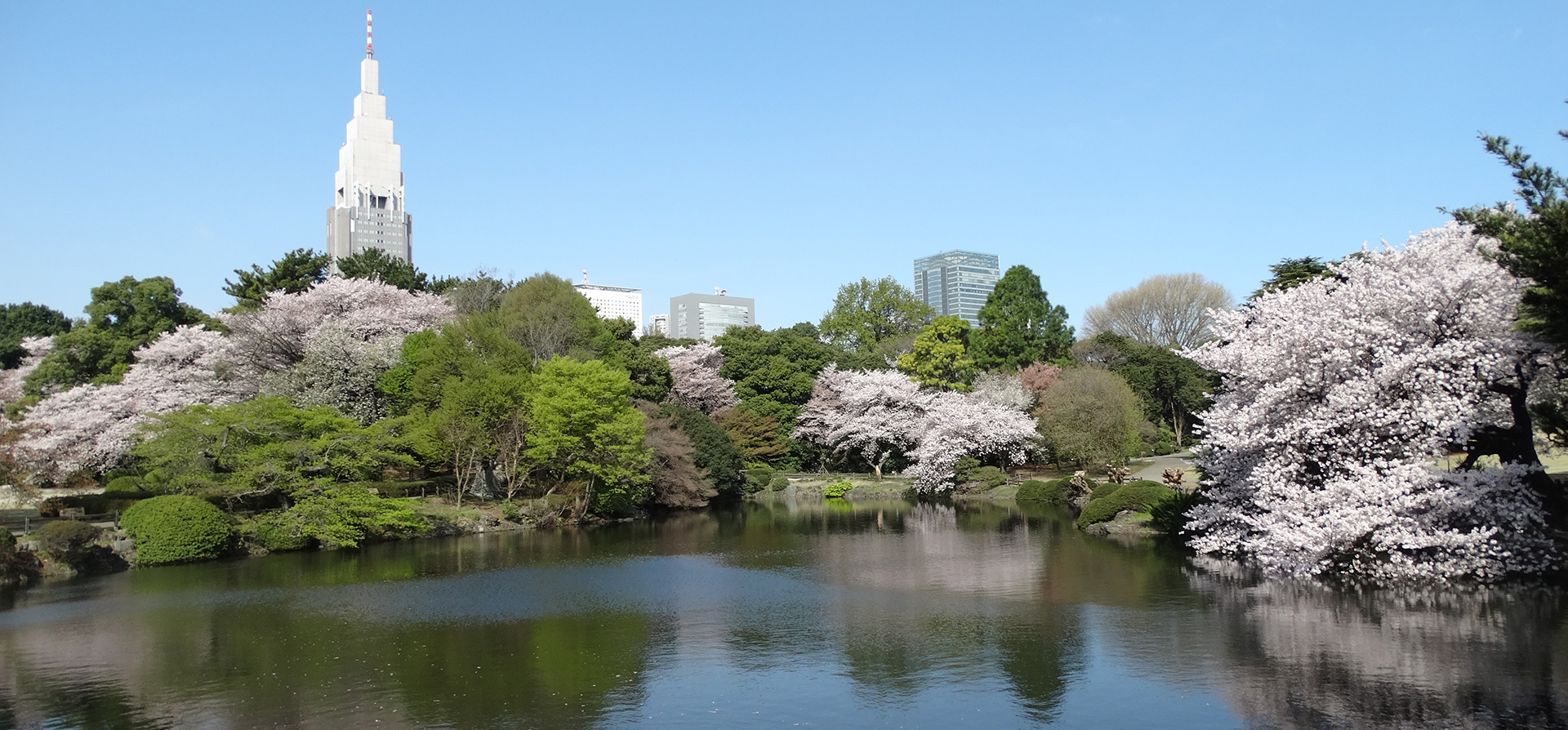 ダイアパレス新宿一丁目 公園