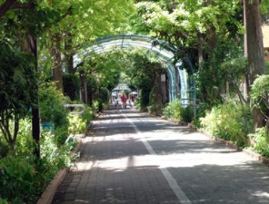 ライオンズステーションプラザ大島 公園