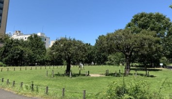 ジェイパーク中目黒４ 公園