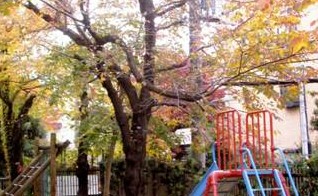 ジオ新宿若松町 幼稚園