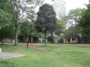 ダイナシティ三田 公園