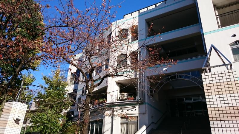 信濃町ハイム 小学校