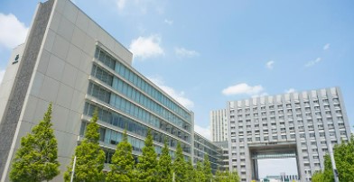 シティタワーズ豊洲ザ・シンボル 大学・短大