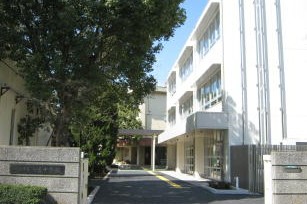 ナイスエスアリーナ新川崎 小学校