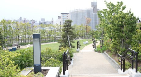 駒場ネオパレス 公園