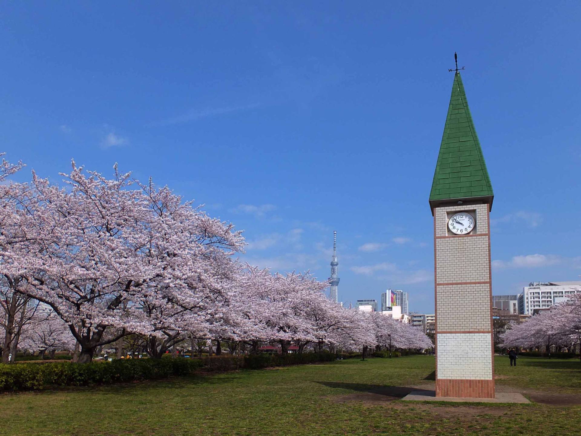 セザール西大島 公園