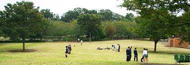 日神パレステージ千歳烏山 公園