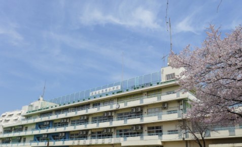 南青山高樹町ハイツ 小学校