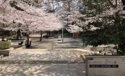 グラーサ銀座イースト 公園