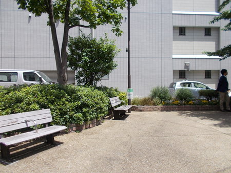 アデニウム東神田 公園