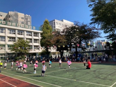 藤和三田綱町ホームズ 幼稚園