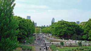 ライオンズマンション代々木第二 公園