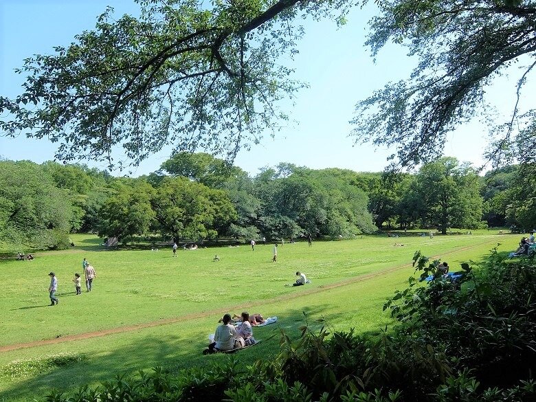 ルピナス用賀 公園