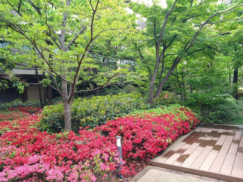 ブランズシティ世田谷中町カームコート 共用部写真（その他）