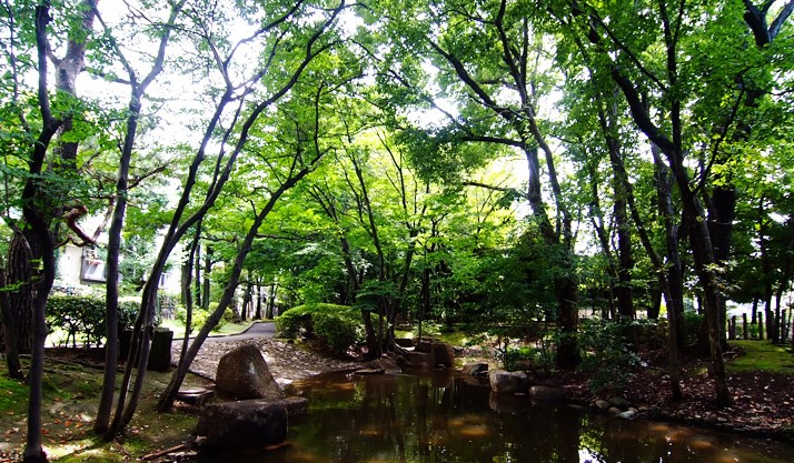 パークシティ弦巻コート・フロント・レジデンス 公園