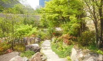 藤和高輪ホームズ 公園