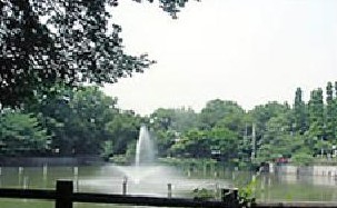 柿の木坂スカイマンション 公園