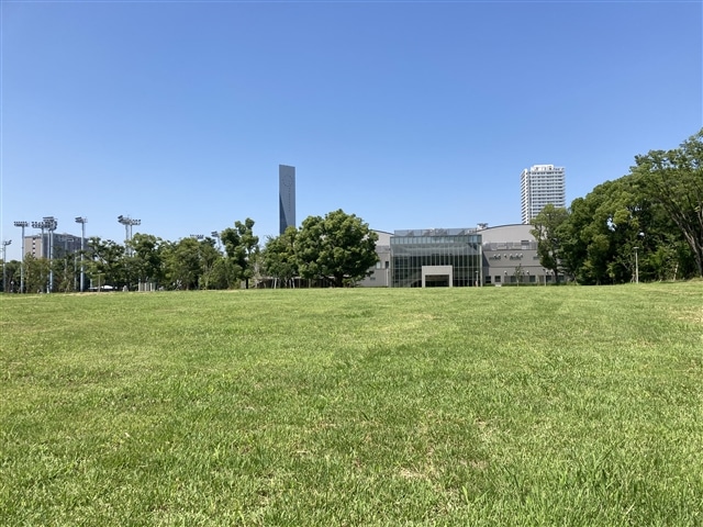 シティタワーズ東京ベイ　セントラルタワー 公園