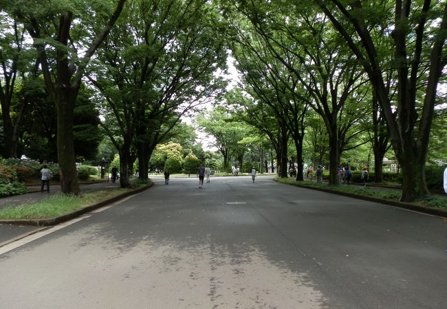 グランドヒルズ目黒東が丘 公園