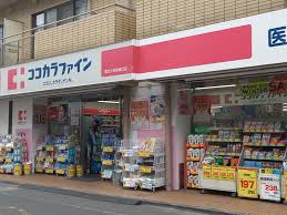 ブランズ碑文谷三丁目 ドラッグストア