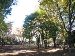 東建マンション学芸大 公園