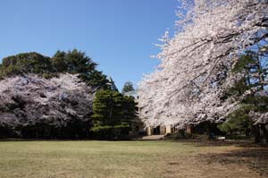 メゾン万里下北沢 公園