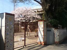 朝日マンション駒場 幼稚園