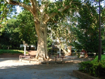 パレロワイヤル六番町 公園