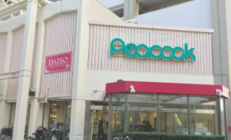 下落合シティハウス スーパー