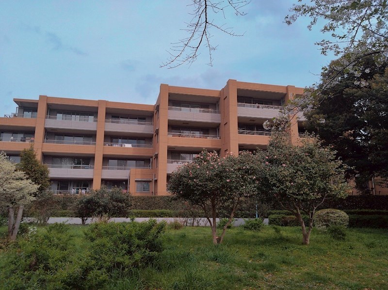 グランシュテル杉並善福寺川公園 現地写真