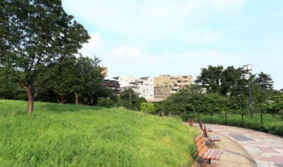 代官山アドレスザ・タワー 公園
