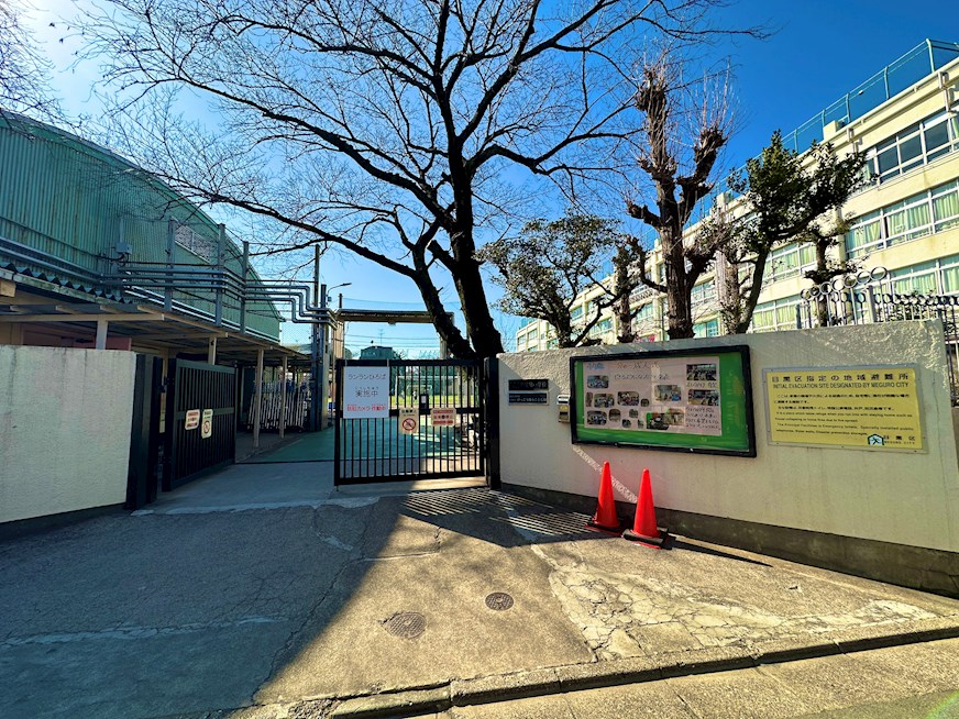 ドルフ目黒 小学校