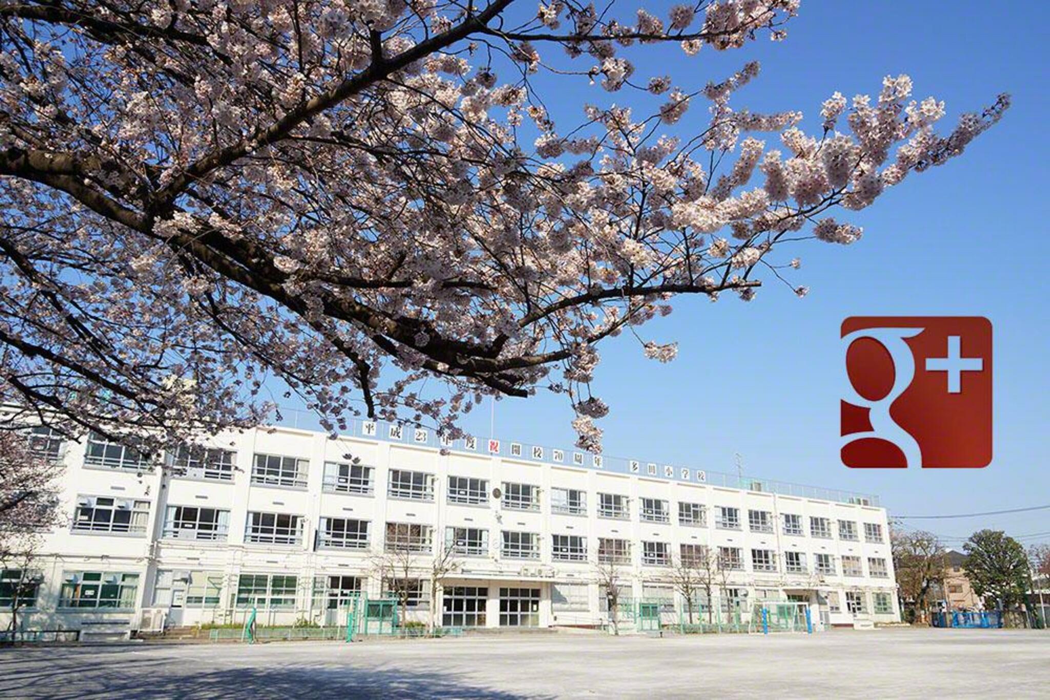 アトラス中野南台 小学校