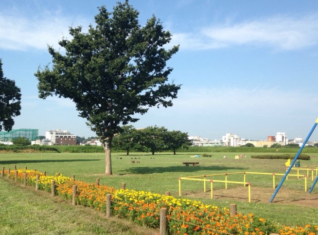 グリュック８二子玉川イーストウイング 公園